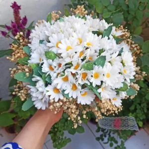 Beyaz Papatya Buketi