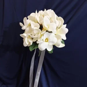 Beyaz Kurdeli Saf ve Temiz Papatya