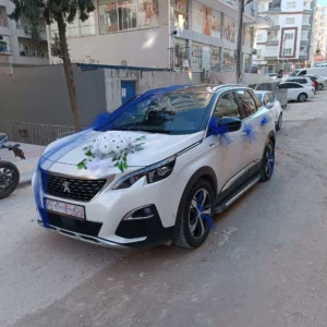 Orkide Zarafeti Araba Süslemesi