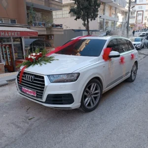 Pembe Gül Dokunuşu