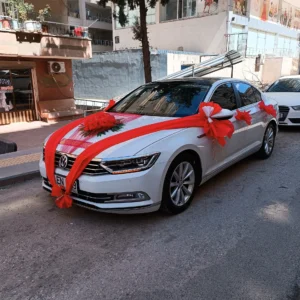 Minimal Kırmızı Tül Tasarımı