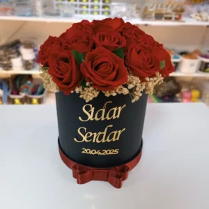 Soft Renk Geçişli İsteme