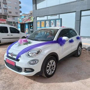 Mor ve İnci Konsepti